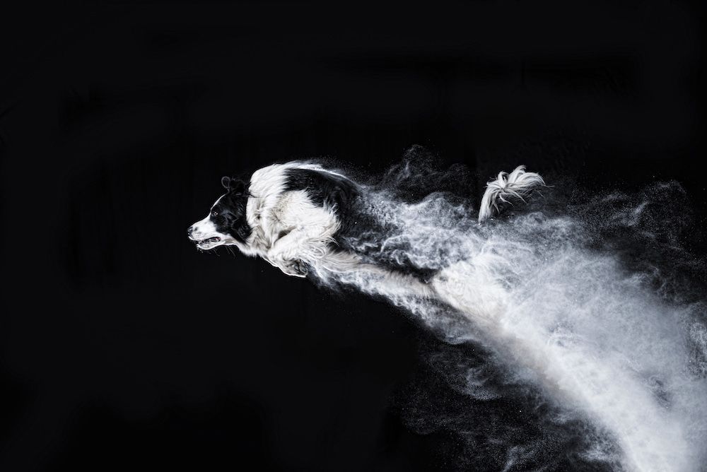 A Picture Is Worth a Thousand Words